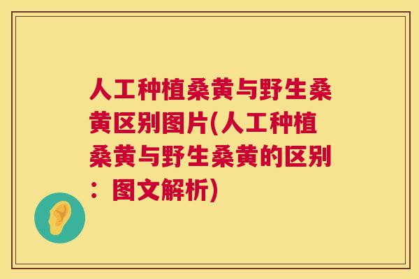 人工种植桑黄与野生桑黄区别图片(人工种植桑黄与野生桑黄的区别：图文解析)