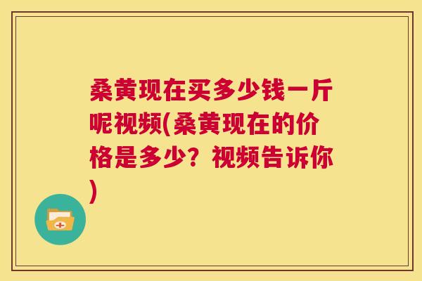 桑黄现在买多少钱一斤呢视频(桑黄现在的价格是多少？视频告诉你)