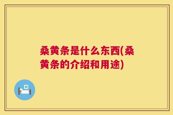 桑黄条是什么东西(桑黄条的介绍和用途)