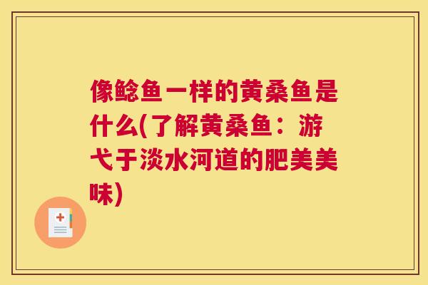 像鲶鱼一样的黄桑鱼是什么(了解黄桑鱼：游弋于淡水河道的肥美美味)