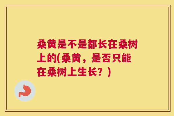桑黄是不是都长在桑树上的(桑黄，是否只能在桑树上生长？)
