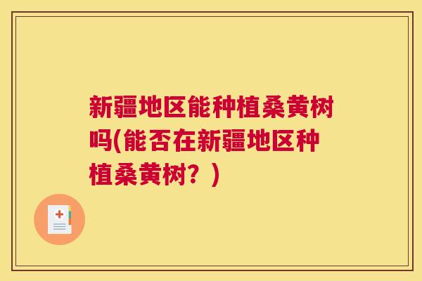 新疆地区能种植桑黄树吗(能否在新疆地区种植桑黄树？)