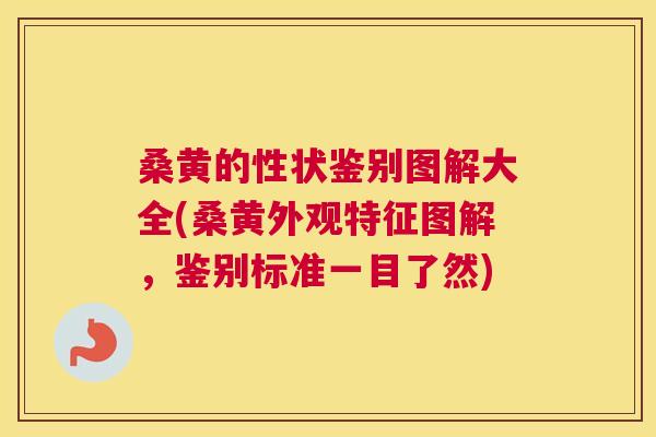 桑黄的性状鉴别图解大全(桑黄外观特征图解，鉴别标准一目了然)