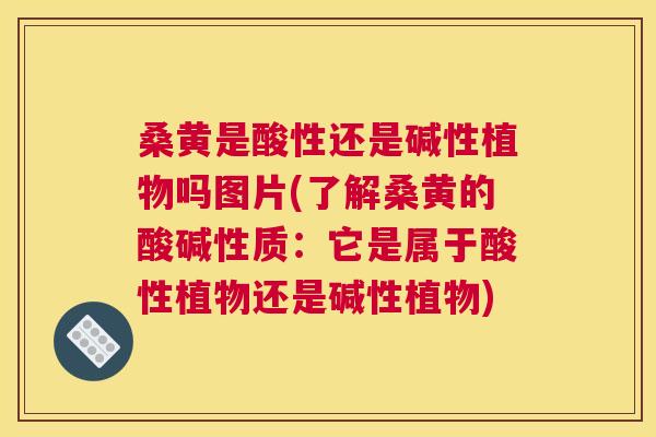 桑黄是酸性还是碱性植物吗图片(了解桑黄的酸碱性质：它是属于酸性植物还是碱性植物)