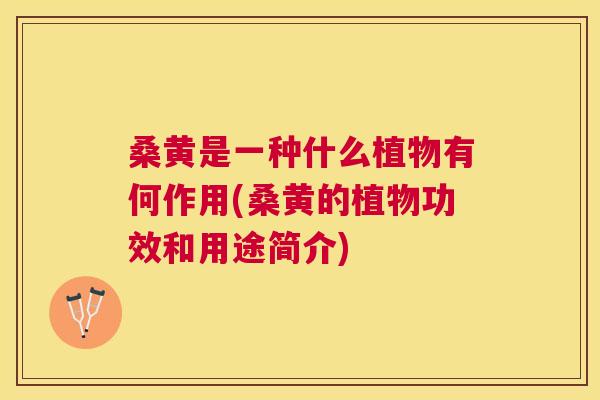 桑黄是一种什么植物有何作用(桑黄的植物功效和用途简介)