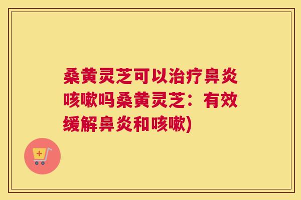 桑黄灵芝可以吗桑黄灵芝：有效缓解和)