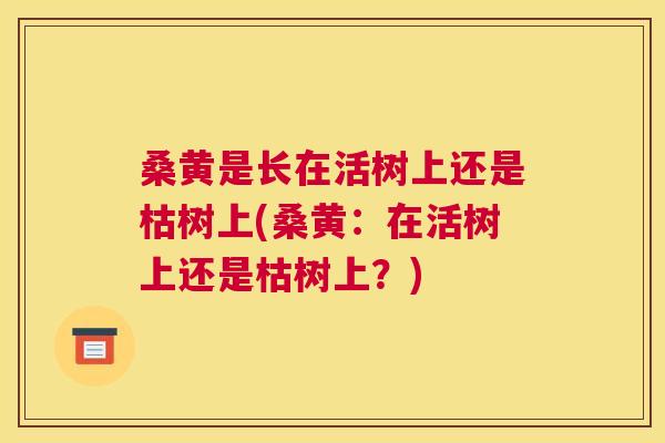 桑黄是长在活树上还是枯树上(桑黄：在活树上还是枯树上？)