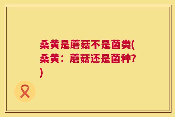 桑黄是蘑菇不是菌类(桑黄：蘑菇还是菌种？)