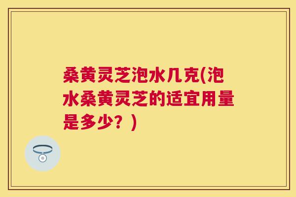 桑黄灵芝泡水几克(泡水桑黄灵芝的适宜用量是多少？)