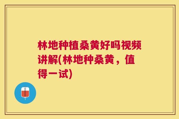 林地种植桑黄好吗视频讲解(林地种桑黄，值得一试)