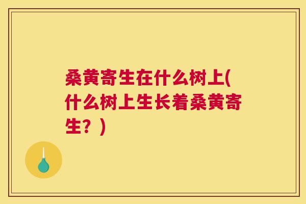 桑黄寄生在什么树上(什么树上生长着桑黄寄生？)