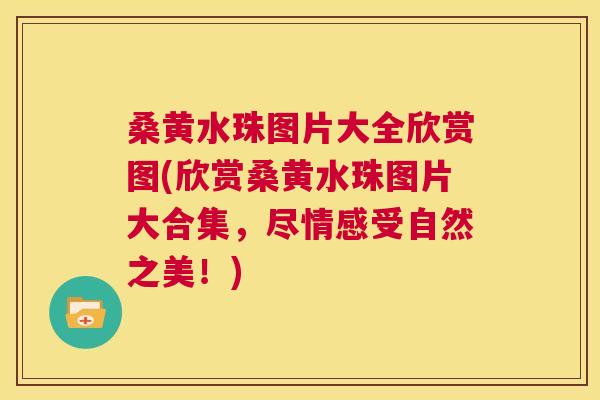 桑黄水珠图片大全欣赏图(欣赏桑黄水珠图片大合集，尽情感受自然之美！)