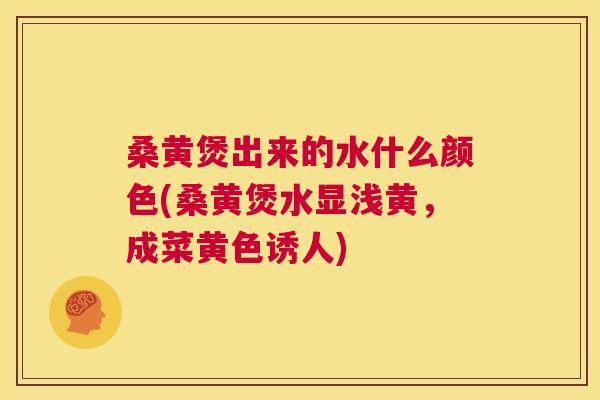桑黄煲出来的水什么颜色(桑黄煲水显浅黄，成菜黄色诱人)