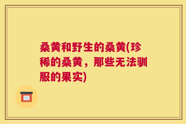 桑黄和野生的桑黄(珍稀的桑黄，那些无法驯服的果实)