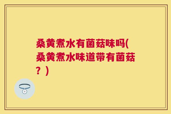 桑黄煮水有菌菇味吗(桑黄煮水味道带有菌菇？)