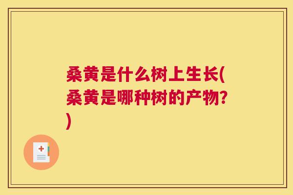 桑黄是什么树上生长(桑黄是哪种树的产物？)