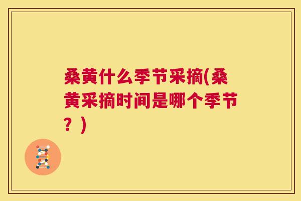 桑黄什么季节采摘(桑黄采摘时间是哪个季节？)