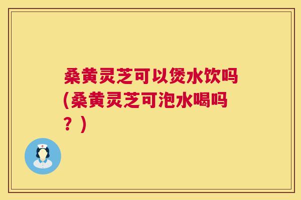 桑黄灵芝可以煲水饮吗(桑黄灵芝可泡水喝吗？)