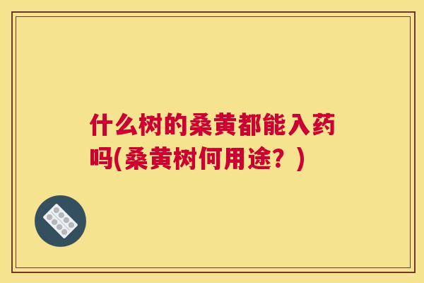 什么树的桑黄都能入药吗(桑黄树何用途？)