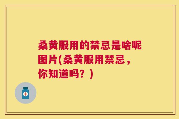 桑黄服用的禁忌是啥呢图片(桑黄服用禁忌，你知道吗？)