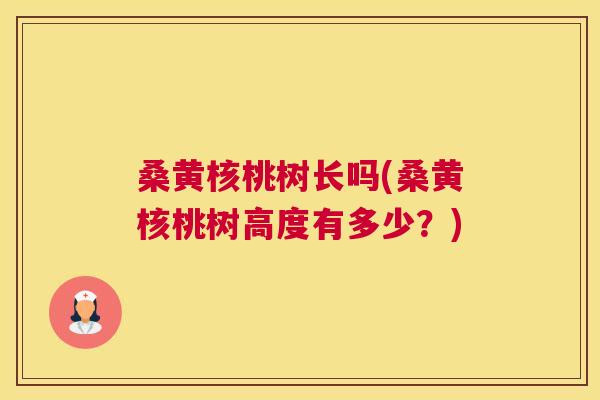 桑黄核桃树长吗(桑黄核桃树高度有多少？)