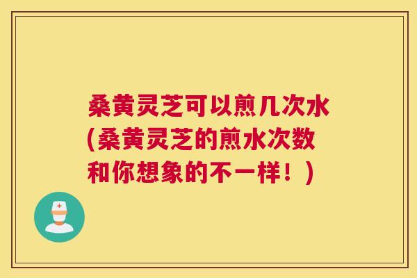 桑黄灵芝可以煎几次水(桑黄灵芝的煎水次数和你想象的不一样！)