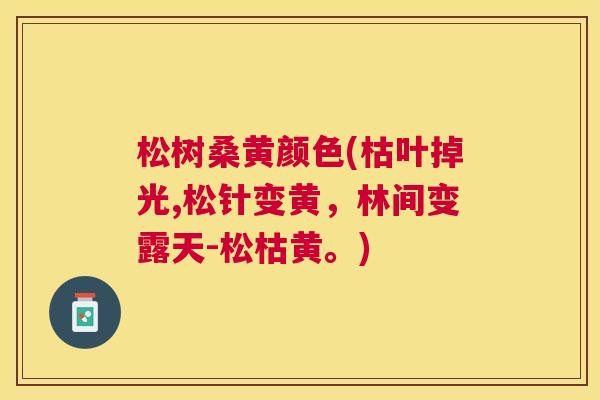 松树桑黄颜色(枯叶掉光,松针变黄，林间变露天-松枯黄。)