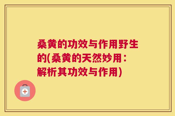 桑黄的功效与作用野生的(桑黄的天然妙用：解析其功效与作用)