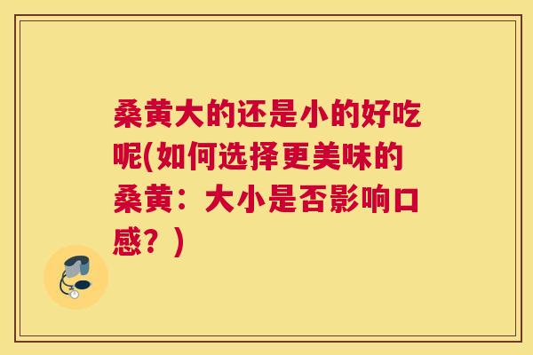 桑黄大的还是小的好吃呢(如何选择更美味的桑黄：大小是否影响口感？)