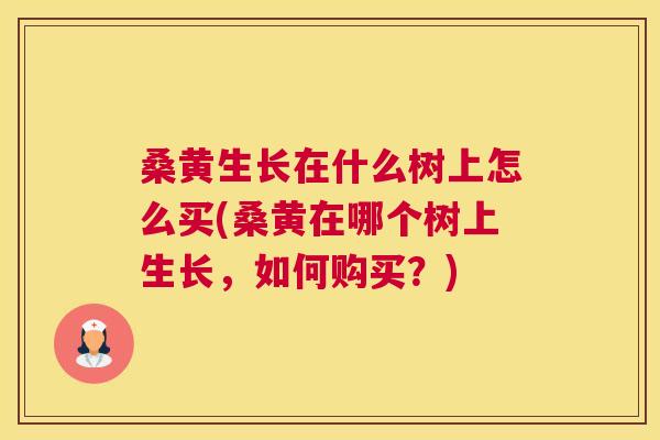 桑黄生长在什么树上怎么买(桑黄在哪个树上生长，如何购买？)