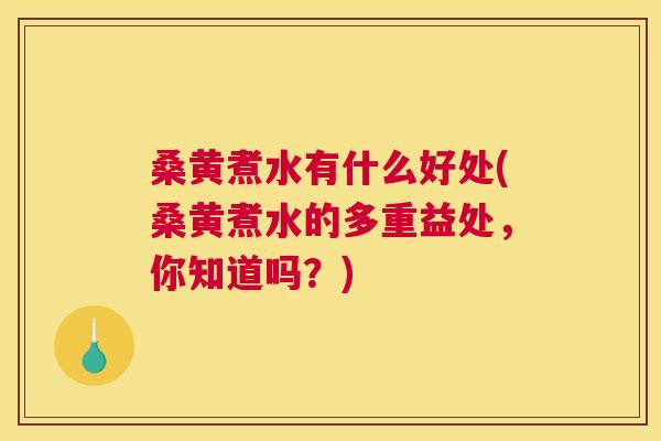 桑黄煮水有什么好处(桑黄煮水的多重益处，你知道吗？)