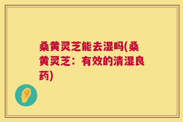 桑黄灵芝能去湿吗(桑黄灵芝：有效的清湿良药)