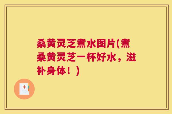 桑黄灵芝煮水图片(煮桑黄灵芝一杯好水，滋补身体！)