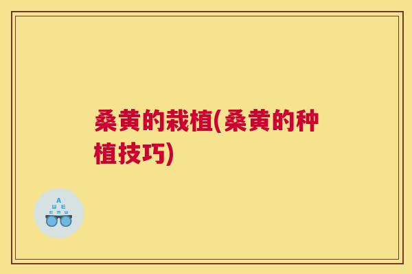 桑黄的栽植(桑黄的种植技巧)