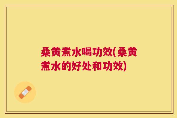 桑黄煮水喝功效(桑黄煮水的好处和功效)