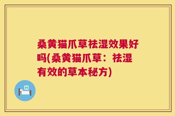 桑黄猫爪草祛湿效果好吗(桑黄猫爪草：祛湿有效的草本秘方)