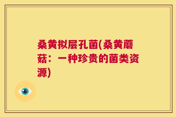 桑黄拟层孔菌(桑黄蘑菇:一种珍贵的菌类资源) 桑黄拟层孔菌(桑黄蘑菇:一种珍贵的菌类资源)