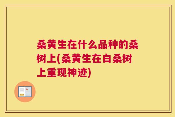桑黄生在什么品种的桑树上(桑黄生在白桑树上重现神迹)