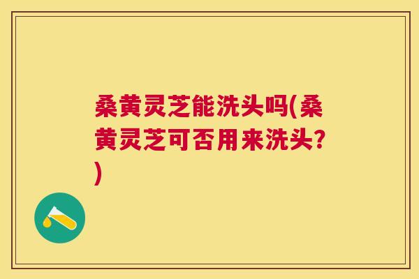 桑黄灵芝能洗头吗(桑黄灵芝可否用来洗头？)
