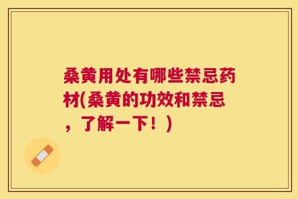 桑黄用处有哪些禁忌药材(桑黄的功效和禁忌，了解一下！)