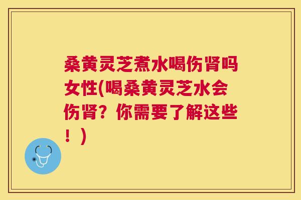 桑黄灵芝煮水喝伤吗女性(喝桑黄灵芝水会伤？你需要了解这些！)
