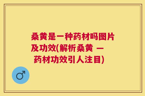 桑黄是一种药材吗图片及功效(解析桑黄 — 药材功效引人注目)