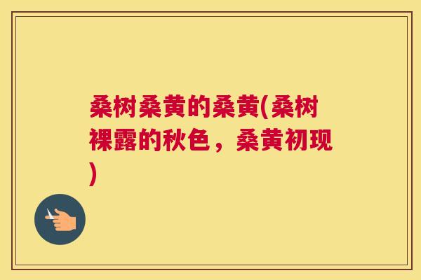 桑树桑黄的桑黄(桑树裸露的秋色，桑黄初现)