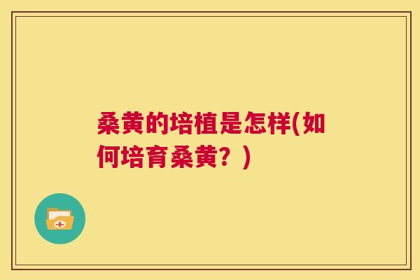 桑黄的培植是怎样(如何培育桑黄？)