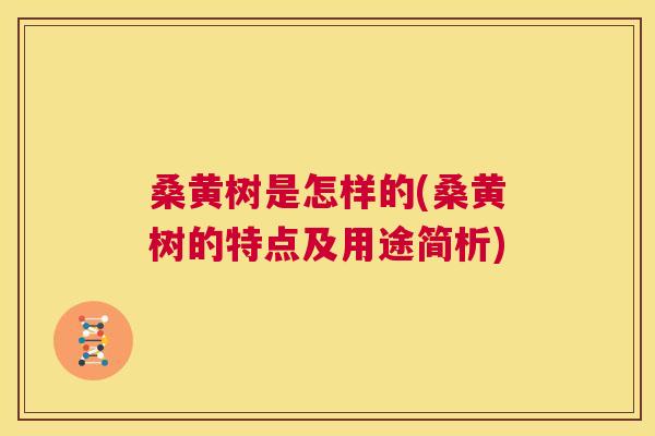桑黄树是怎样的(桑黄树的特点及用途简析)