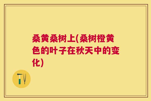 桑黄桑树上(桑树橙黄色的叶子在秋天中的变化)