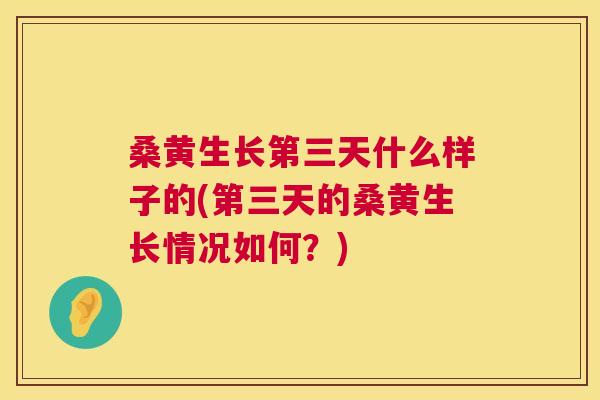 桑黄生长第三天什么样子的(第三天的桑黄生长情况如何？)