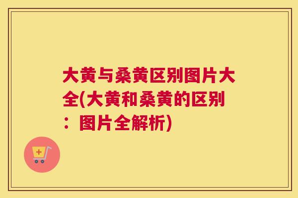 大黄与桑黄区别图片大全(大黄和桑黄的区别：图片全解析)