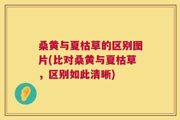 桑黄与夏枯草的区别图片(比对桑黄与夏枯草，区别如此清晰)
