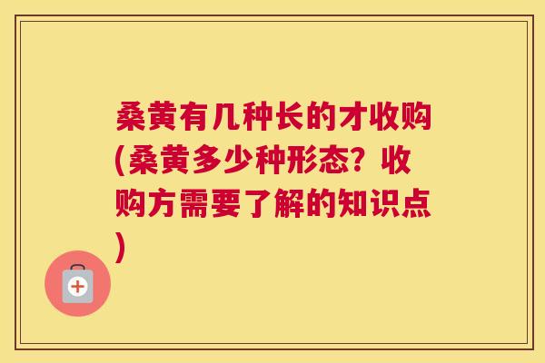 桑黄有几种长的才收购(桑黄多少种形态？收购方需要了解的知识点)